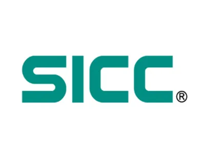 天岳先进（02631.HK）